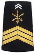Maréchal des logis-chef du 93e&nbsp;régiment d'artillerie de montagne.