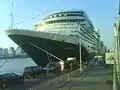 Le Ms Eurodam