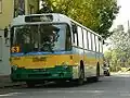 Bus de ligne MAN à Bełchatów en Pologne