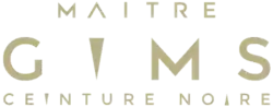 Description de l'image Maître Gims - Ceinture noire logo.png.