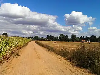 Mały Las