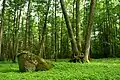 Site naturel sacréé d'Hiis&nbsp;(en)