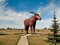 « Mac the Moose ».
