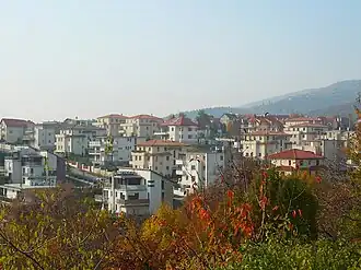 Madárhegy