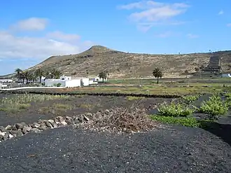 Máguez