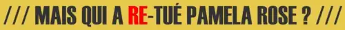 Description de l'image Mais qui a re-tué Pamela Rose.png.
