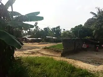 Mangobo
