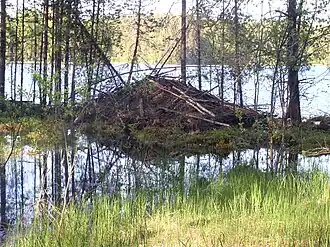 Enonkoski