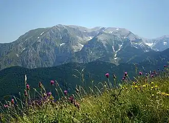 Mont Amaro.