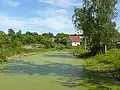 ruisseau et marécage Malachka