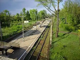 Małaszewicze