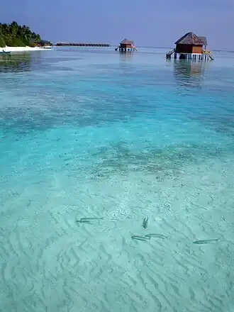 Meerufenfushi