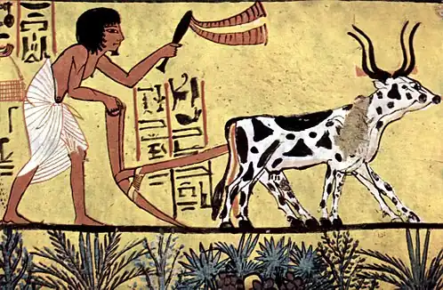 Labour avec araireÉgypte antique sous le règne du Pharaon Ramsès II, XIIIe siècle av. J.-C.Tombeau TT1 de la vallée des nobles