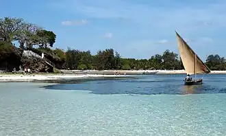Vue du Malindi Marine National Park.