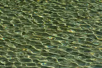 Reflexion à la surface du lac Stappitz dans le Hohe Tauern, Autriche.