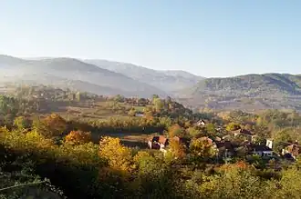 Malo Bonjince