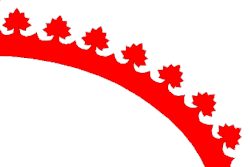 Drapeau de Malý Bor