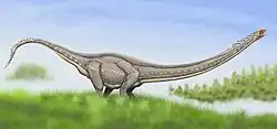 Autre vue d'artiste de Mamenchisaurus youngi.
