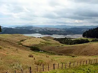 Manaia (Waikato)