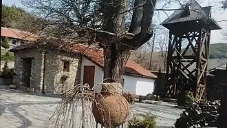 Lepčince