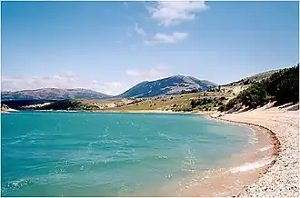 Miši