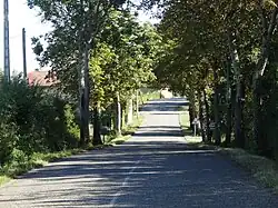 Route principale.