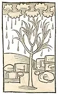 Livre I, chapitre 275. Manne