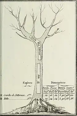Courbe de jottereau, bitte