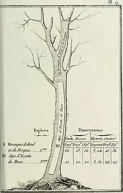 Varangue de fonds et de porques; Sep d'éconte de hune