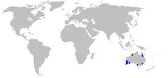 Description de l'image Map-Boryaceae.PNG.
