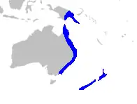 Description de l'image Map-Ripogonaceae.PNG.