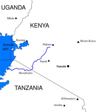 Carte.