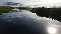 Début de matinée sur les marais de Kaw
