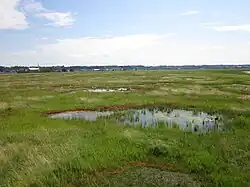 Marais avec un village en arrière-plan