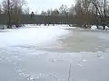 Un des étangs du marais gelé.