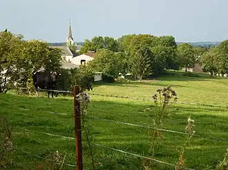 Maranwez