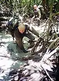 Progression en forêt équatoriale.