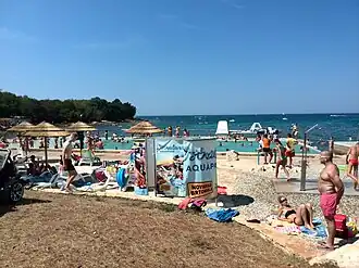 Mareda