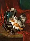 Chatons curieux