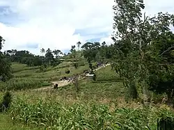 Un marché à Delatte.