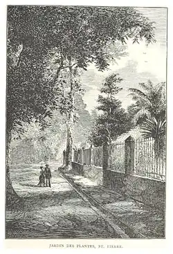 Jardin des Plantes de Saint-Pierre.