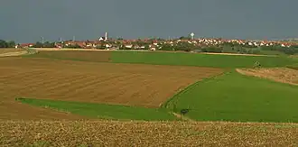 Martinshöhe