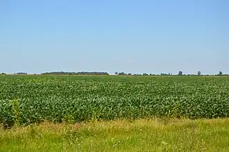 Martinton Township