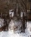 dans un autre cimetière de Vienne (Autriche)