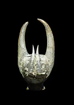 Masque (Liberia)
