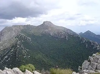 Vue du sommet depuis dels Tossals.