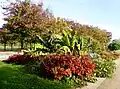 Massif de fleurs
