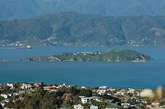 Île de Matiu/Somes