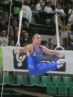 Description de l'image Matteo Morandi Grand Prix 2013 09.JPG.