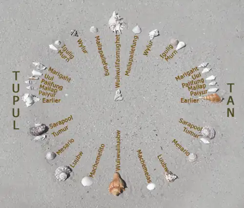 A recreation of Mau Piailug's star compass
